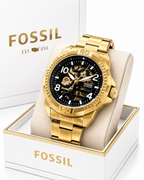 Fossi_il Bronson