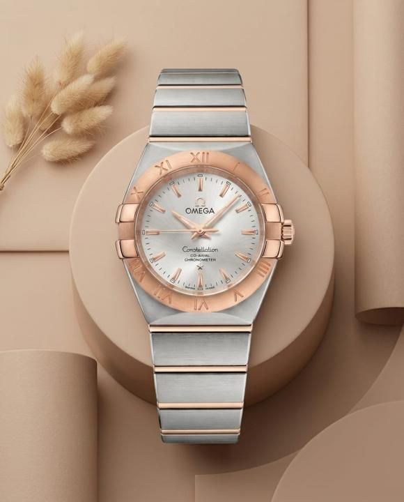 Omegg_a Constellation Sedna 2Ton-Copper-Grey Womens